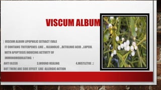 VISCUM ALBUM
(:VISCUM ALBUM LIPOPHILIC EXTRACT (VALE
 IT CONTAINS TRITERPENES :LIKE … OLEANOLIC …BETULINIC ACID …LUPEOL
:WITH APOPTOSIS INDUCING ACTIVITY OF
 IMMUNOMODULATING.1
ANTI ULCER              3.WOUND HEALING              4.MISTLETOE .2
BUT THERE ARE SIDE EFFECT LIKE ALLERGIC ACTION
 