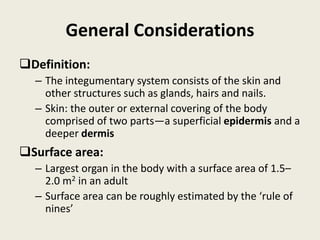 General Considerations
Definition:
– The integumentary system consists of the skin and
other structures such as glands, hairs and nails.
– Skin: the outer or external covering of the body
comprised of two parts—a superficial epidermis and a
deeper dermis
Surface area:
– Largest organ in the body with a surface area of 1.5–
2.0 m2 in an adult
– Surface area can be roughly estimated by the ‘rule of
nines’
 