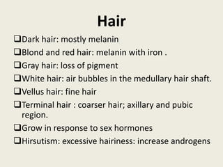Hair
Dark hair: mostly melanin
Blond and red hair: melanin with iron .
Gray hair: loss of pigment
White hair: air bubbles in the medullary hair shaft.
Vellus hair: fine hair
Terminal hair : coarser hair; axillary and pubic
region.
Grow in response to sex hormones
Hirsutism: excessive hairiness: increase androgens
 