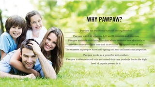 Pawpaw has traditional natural healing benefits.
Pawpaw is rich in vitamins A, C and E, minerals and enzymes.
Pawpaw assists in exfoliating the skin which promotes new skin cells to
provide a more even skin tone and to revitalise the appearance of skin.
The enzymes in pawpaw have anti-ageing and anti-inflammatory properties.
Pawpaw works as a powerful anti-oxidant.
Pawpaw is often referred to in acclaimed skin care products due to the high
level of papain present in it.
WHY PAWPAW?
(
 