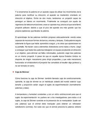 Y si encerramos la paloma en un aparato capaz de utilizar los movimientos de la
paloma para rectificar su dirección, el aparato se mantendrá orientado en
dirección al objetivo. Dicho de otro modo, tendremos un proyectil capaz de
perseguir un blanco en movimiento. Finalmente se consiguió con ayuda de
ingenieros de telecomunicaciones crear un aparato muy preciso al que se le llamó
proyectil pelícano debido a que el pico del aparato era más grande que los
propios explosivos que llevaba la paloma.
El aprendizaje de las palomas también progreso adecuadamente siendo estas
capaces de reconocer formas de barcos, aviones y tanques. Cadapaloma seguía
solamente la figura que había aprendido a seguir, y no otras que apareciesen en
su pantalla. No hacían caso a elementos distractores como nubes o humo. Llegó
a conseguir que hasta tres palomas trabajaran en equipo picoteando en dirección
a un objetivo, para eliminar así fallos individuales, pudiendo viajar tres palomas
en un mismo proyectil. A pesar de que en aquella época Estados Unidos no
disponía de ningún mecanismo para dirigir proyectiles y que este mecanismo
funcionaba en el laboratorio el proyecto fue cancelado al resultar algo grotesco y
no ser tomado en serio.
 Caja de Skinner
Cómo funciona la caja de Skinner: también llamada caja de condicionamiento
operante, la caja de skinner es un habitáculo aislado del mundo exterior cuyo
tamaño y proporción varían según el sujeto de experimentación (normalmente
palomas y ratas).
A temperatura y humedad constantes y con un vidrio unidireccional para que el
sujeto de experimentación no pudiera ver a los investigadores pero éstos sí al
sujeto, la caja de Skinner consiste en la presencia de un manipulador (suele ser
una palanca) que el animal debe manipular para obtener un reforzador
satisfactorio (comida). Así cada vez que el animal presiona la palanca obtiene
 