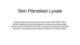 Skin Fibroblast Lysate
Creative Bioarray tissues lysates can be used in SDS-PAGE, ELISA,
Western blotting, immunoprecipitation, enzymatic activity analysis,
protein-protein interaction and other studies encompassing functional
genomics, and comparative analysis of proteins in human models.
 