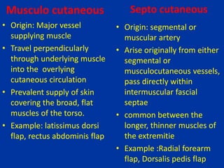 Musculo cutaneous
• Origin: Major vessel
supplying muscle
• Travel perpendicularly
through underlying muscle
into the overlying
cutaneous circulation
• Prevalent supply of skin
covering the broad, flat
muscles of the torso.
• Example: latissimus dorsi
flap, rectus abdominis flap
Septo cutaneous
• Origin: segmental or
muscular artery
• Arise originally from either
segmental or
musculocutaneous vessels,
pass directly within
intermuscular fascial
septae
• common between the
longer, thinner muscles of
the extremitie
• Example :Radial forearm
flap, Dorsalis pedis flap
 