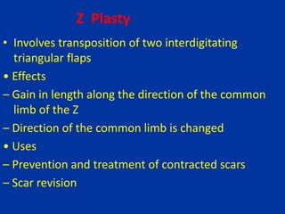Z Plasty
• Involves transposition of two interdigitating
triangular flaps
• Effects
– Gain in length along the direction of the common
limb of the Z
– Direction of the common limb is changed
• Uses
– Prevention and treatment of contracted scars
– Scar revision
 