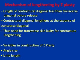Mechanism of lengthening by Z plasty
– Length of contractural diagonal less than transverse
diagonal before release
– Contractural diagonal lengthens at the expense of
transverse diagonal
– Thus need for transverse skin laxity for contracture
lengthening
– Variables in construction of Z Plasty
• Angle size
• Limb length
 