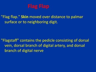 Flag Flap
"Flag flap." Skin moved over distance to palmar
surface or to neighboring digit.
"Flagstaff" contains the pedicle consisting of dorsal
vein, dorsal branch of digital artery, and dorsal
branch of digital nerve
 