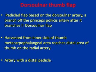 Dorsoulnar thumb flap
• Pedicled flap based on the dorsoulnar artery, a
branch off the princeps pollicis artery after it
branches fr Dorsoulnar flap
• Harvested from inner side of thumb
metacarpophalangeal area reaches distal area of
thumb on the radial artery.
• Artery with a distal pedicle.
 