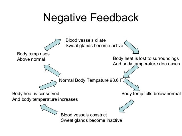 skin-functions