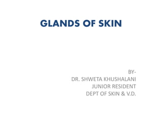 GLANDS OF SKIN
BY-
DR. SHWETA KHUSHALANI
JUNIOR RESIDENT
DEPT OF SKIN & V.D.
 