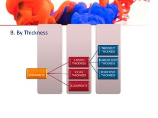 SKINGRAFTS
1.SPLITH
THICKNESS
THIN SPLIT
THICKNESS
MEDIUM SPLIT
THICKNESS
THICK SPLIT
THICKNESS
2.FULL
THICKNESS
3.COMPOSITE
B. By Thickness
 