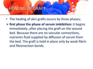 HEALING OF GRAFT
• The healing of skin grafts occurs by three phases;
 first phase the phase of serum imbibition: it begins
immediately ,after placing the graft on the wound
bed. Because there are no vascular connections,
nutrients fluid supplied by diffusion of serum from
the bed. The graft is held in place only by weak fibrin
and fibronection bonds.
 