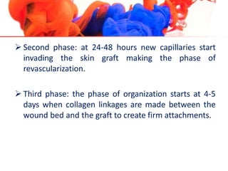  Second phase: at 24-48 hours new capillaries start
invading the skin graft making the phase of
revascularization.
 Third phase: the phase of organization starts at 4-5
days when collagen linkages are made between the
wound bed and the graft to create firm attachments.
 