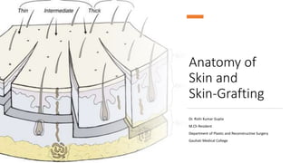 Anatomy of
Skin and
Skin-Grafting
Dr. Rishi Kumar Gupta
M.Ch Resident
Department of Plastic and Reconstructive Surgery
Gauhati Medical College
 