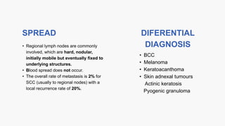 • Regional lymph nodes are commonly
involved, which are hard, nodular,
initially mobile but eventually fixed to
underlying structures.
• Blood spread does not occur.
• The overall rate of metastasis is 2% for
SCC (usually to regional nodes) with a
local recurrence rate of 20%.
SPREAD DIFERENTIAL
DIAGNOSIS
• BCC
• Melanoma
• Keratoacanthoma
• Skin adnexal tumours
Actinic keratosis
Pyogenic granuloma
 