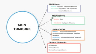 BENIGN- Papilloma, Seborrhiec Keratosis
MALIGNANT- Squamous Cell Carcinoma
Basal Cell Carcinoma
EPIDERMAL
SKIN
TUMOURS
BENIGN - Naevi
MALIGNANT- Malignant Melanoma
MELANOCYTE
S
BENIGN- Syringoma, Hidradenoma,
Trichifolliculoma, Trichilemmoma, Adenoma
Sebaceum.
MALIGNANT- Hidradenocarcinoma, Sebaceous
Carcinoma.
SKIN ADNEXA
Neurofibroma
Dermatofibroma
Dermatofibroma protuberans
DERMAL TUMOURS
 