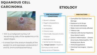 • Cumulative Sun Exposure and
Damage
• Exposure to UV-B rays
• Fair skinned individuals
• Males more commonly affected.
• Tobacco Use.
• Infection with Human Papiloma
Virus strains 5 and 6.
• Chronic Inflammation -- Chronic
sinus tracts, Osteomyelitis, Pre-
Existing Scars, Burns
• Immunosuppression.
• Chemical Carcinogens - Arsenic,
Dyes.
RISK FACTORS
PRE MALIGNANT
CONDITIONS
• Bowen's disease
• Paget's disease(Extra
Mammary)
• Leukoplakia
• Chronic scars
• Chemically induced chronic
irritation
• Radiodermatitis
• Senile/ Actinic Keratosis,
E.g: Kangri cancer in Kashmir
Chimney scrotal cancer
Kang cancer of Tibetans.
SQUAMOUS CELL
CARCINOMA
• SCC is a malignant tumour of
keratinising cells of the epidermis or its
appendages.
• It arises from the stratum basalis of the
epidermis and expresses cytokeratins 1
and 10. (Immunohistochemistry)
ETIOLOGY
 