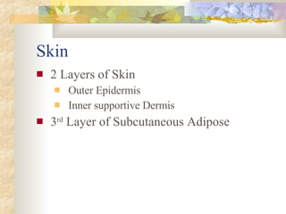 Skin 2 Layers of Skin Outer Epidermis Inner supportive Dermis 3 rd  Layer of Subcutaneous Adipose 