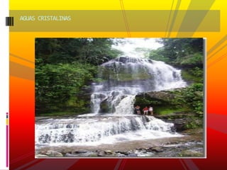AGUAS CRISTALINAS