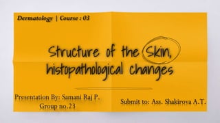 Structure of the Skin,
histopathological changes
Presentation By: Samani Raj P.
Group no.23
Submit to: Ass. Shakirova A.T.
Dermatology | Course : 03
 