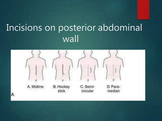 Skin incisions final | PPTX