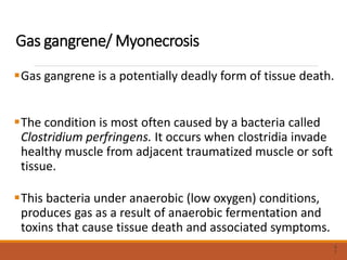 Gas gangrene/ Myonecrosis
Gas gangrene is a potentially deadly form of tissue death.
The condition is most often caused by a bacteria called
Clostridium perfringens. It occurs when clostridia invade
healthy muscle from adjacent traumatized muscle or soft
tissue.
This bacteria under anaerobic (low oxygen) conditions,
produces gas as a result of anaerobic fermentation and
toxins that cause tissue death and associated symptoms.
5
7
 