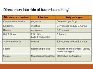 Direct entry into skin of bacteria and fungi
Skin structure involved Infection Likely pathogen
Keratinized epithelium ringworm Dermatophyte fungi
Epidermis impetigo S.Pyogenes and /or S.Aureus
Dermis erysipelas S.Pyogenes
Hair follicles follicutlitis,
boils & carbuncles
S.Aureus
Subcutaneous fat cellulitis S.Pyogenes and /or S.Aureus
Fascia Necrotising faciitis Anaerobes and aerobes; usually
mixed pathogens
Muscle Myonecrosis/gangrene Clostridium perfringens
7
 