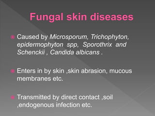  Caused by Microsporum, Trichophyton,
epidermophyton spp, Sporothrix and
Schenckii , Candida albicans .
 Enters in by skin ,skin abrasion, mucous
membranes etc.
 Transmitted by direct contact ,soil
,endogenous infection etc.
 