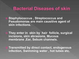  Staphylococcus , Streptococcus and
Pseudomonas are main causitive agent of
skin infections.
 They enter in skin by hair follicle, surgical
incisions, skin abrasions, Mucous
membrane ,Ear, Sebum channels.
 Transmitted by direct contact, endogenous
infection, Swimming water , hot tubes etc.
 