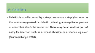 • Cellulitis is usually caused by a streptococcus or a staphylococcus. In
the immunosuppressed or diabetic patient, gram-negative organisms
or anaerobes should be suspected. There may be an obvious port of
entry for infection such as a recent abrasion or a venous leg ulcer
(Fauci and Longo, 2008).
B- Cellulitis
 