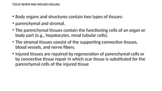 TISSUE REPAIR AND WOUND HEALING
• Body organs and structures contain two types of tissues:
• parenchymal and stromal.
• The parenchymal tissues contain the functioning cells of an organ or
body part (e.g., hepatocytes, renal tubular cells).
• The stromal tissues consist of the supporting connective tissues,
blood vessels, and nerve fibers.
• Injured tissues are repaired by regeneration of parenchymal cells or
by connective tissue repair in which scar tissue is substituted for the
parenchymal cells of the injured tissue
 