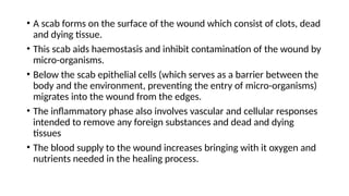 • A scab forms on the surface of the wound which consist of clots, dead
and dying tissue.
• This scab aids haemostasis and inhibit contamination of the wound by
micro-organisms.
• Below the scab epithelial cells (which serves as a barrier between the
body and the environment, preventing the entry of micro-organisms)
migrates into the wound from the edges.
• The inflammatory phase also involves vascular and cellular responses
intended to remove any foreign substances and dead and dying
tissues
• The blood supply to the wound increases bringing with it oxygen and
nutrients needed in the healing process.
 