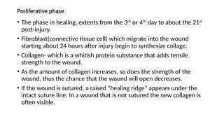 Proliferative phase
• The phase in healing, extents from the 3rd
or 4th
day to about the 21st
post-injury.
• Fibroblast(connective tissue cell) which migrate into the wound
starting about 24 hours after injury begin to synthesize collage.
• Collagen- which is a whitish protein substance that adds tensile
strength to the wound.
• As the amount of collagen increases, so does the strength of the
wound, thus the chance that the wound will open decreases.
• If the wound is sutured, a raised “healing ridge” appears under the
intact suture line. In a wound that is not sutured the new collagen is
often visible.
 