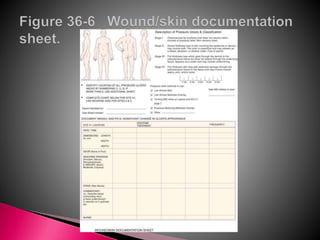 Normal Skin Progress Notes Skin Integrity and Wound Healingstudentvers.pptx