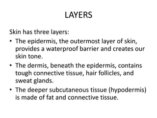 LAYERS
Skin has three layers:
• The epidermis, the outermost layer of skin,
provides a waterproof barrier and creates our
skin tone.
• The dermis, beneath the epidermis, contains
tough connective tissue, hair follicles, and
sweat glands.
• The deeper subcutaneous tissue (hypodermis)
is made of fat and connective tissue.
 