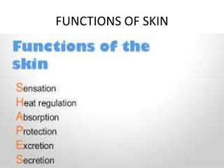 FUNCTIONS OF SKIN
 