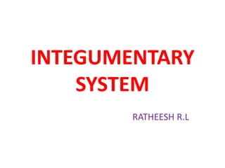 INTEGUMENTARY
SYSTEM
RATHEESH R.L
 