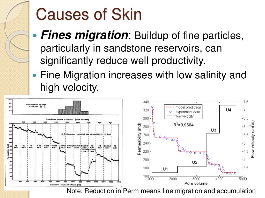 Skin Factor and Formation Damage