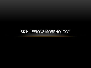 SKIN LESIONS MORPHOLOGY
 