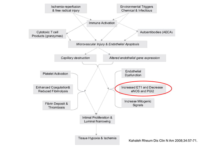 Skin Manifestations of Scleroderma, by Dr. Lorinda Chung MD | PPTX ...