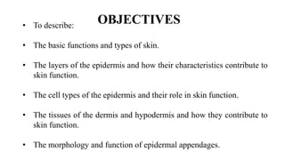 The histology of the skin and its appendages | PPTX