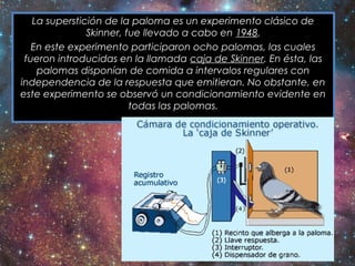 La superstición de la paloma es un experimento clásico de
Skinner, fue llevado a cabo en 1948.
En este experimento participaron ocho palomas, las cuales
fueron introducidas en la llamada caja de Skinner. En ésta, las
palomas disponían de comida a intervalos regulares con
independencia de la respuesta que emitieran. No obstante, en
este experimento se observó un condicionamiento evidente en
todas las palomas.
 