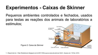 Experimentos - Caixas de Skinner
Pequenos ambientes controlados e fechados, usados
para testas as reações dos animais de laboratórios a
estímulos;
1 - Disponível em: <http://thebehavior.blogspot.com.br/2011/05/o-que-e-caixa-de-skinner.html>. Acesso em: 19 Out. 2014.
Figura 2: Caixa de Skinner
 