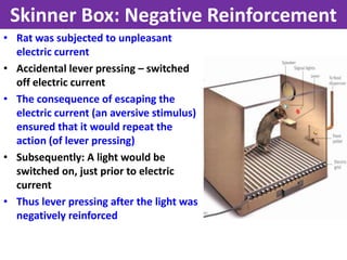 Skinner Box: Negative Reinforcement
• Rat was subjected to unpleasant
  electric current
• Accidental lever pressing – switched
  off electric current
• The consequence of escaping the
  electric current (an aversive stimulus)
  ensured that it would repeat the
  action (of lever pressing)
• Subsequently: A light would be
  switched on, just prior to electric
  current
• Thus lever pressing after the light was
  negatively reinforced
 