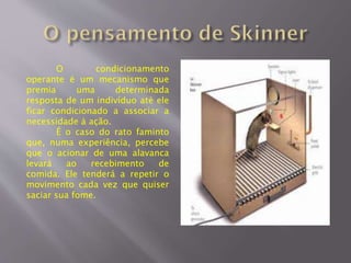 O condicionamento
operante é um mecanismo que
premia uma determinada
resposta de um indivíduo até ele
ficar condicionado a associar a
necessidade à ação.
É o caso do rato faminto
que, numa experiência, percebe
que o acionar de uma alavanca
levará ao recebimento de
comida. Ele tenderá a repetir o
movimento cada vez que quiser
saciar sua fome.
 
