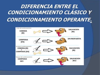 DIFERENCIA ENTRE EL
CONDICIONAMIENTO CLÁSICO Y
CONDICIONAMIENTO OPERANTE.
 