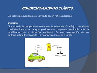 CONDICIONAMIENTO CLÁSICO.
Un estímulo neurológico se convierte en un reflejo asociado.
Ejemplo:
El sonido de la campana se asocia con la salivación. El reflejo. Una simple
conducta innata, es la que produce una respuesta inevitable ante la
modificación de la situación ambiental. Es una combinación de los
factores estímulo-respuesta. La conducta es interna e innata.
 