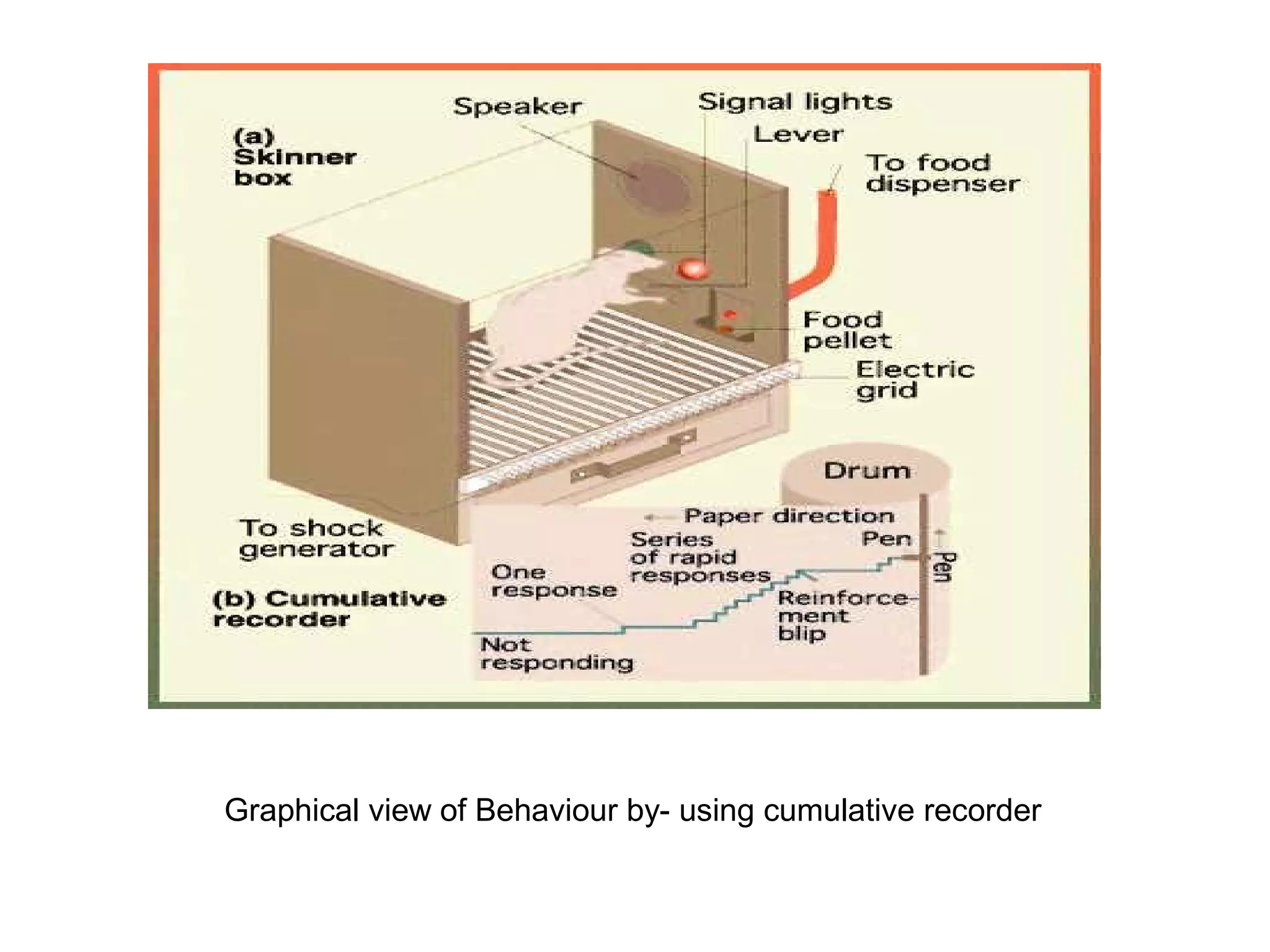 Graphical view of Behaviour by- using cumulative recorder
 