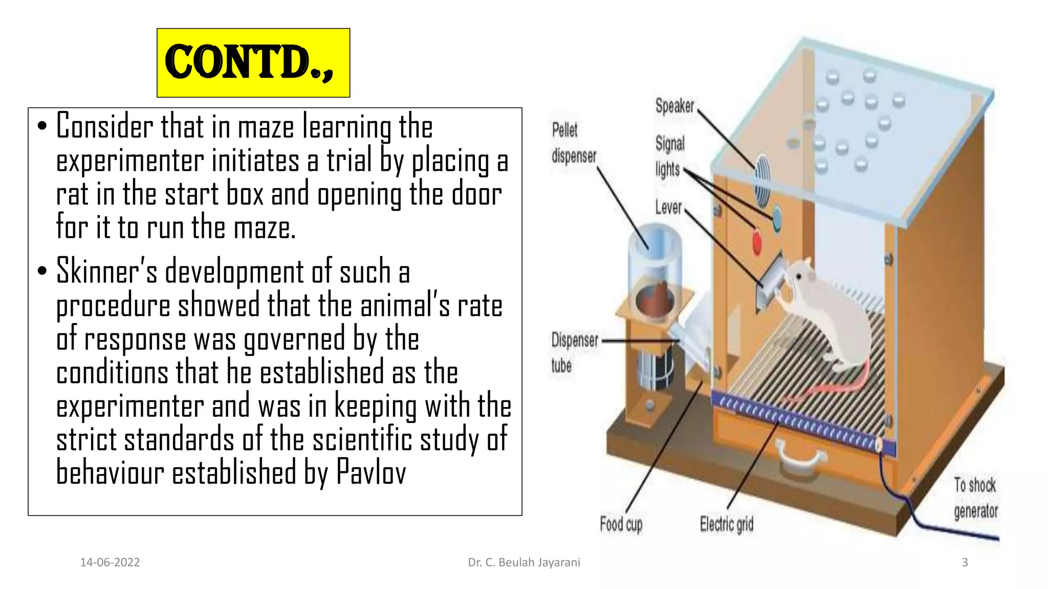 CONTD.,
• Consider that in maze learning the
experimenter initiates a trial by placing a
rat in the start box and opening the door
for it to run the maze.
• Skinner’s development of such a
procedure showed that the animal’s rate
of response was governed by the
conditions that he established as the
experimenter and was in keeping with the
strict standards of the scientific study of
behaviour established by Pavlov
14-06-2022 Dr. C. Beulah Jayarani 3
 