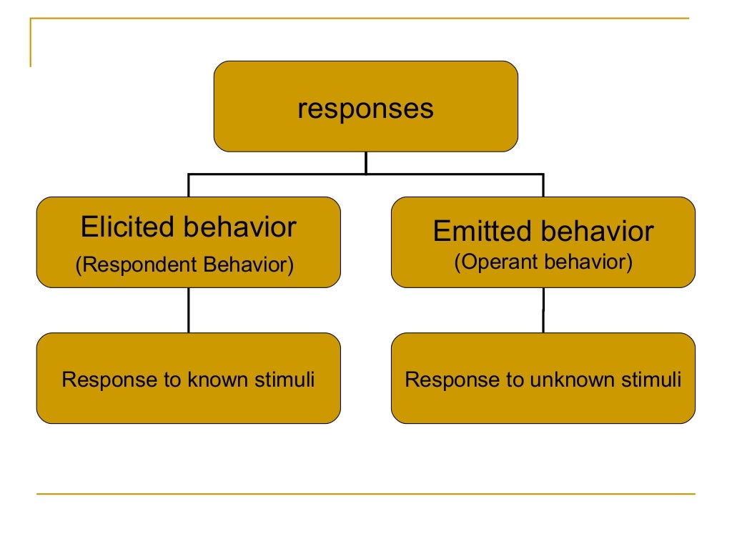 Skinner’s operant conditioning theory
