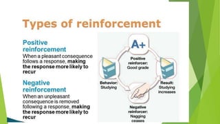 Skinner's Operant Conditioning Theory | PPTX